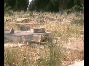 ORAN TAMAZOUHET 41